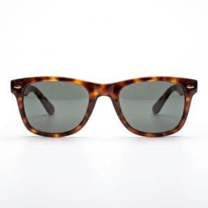Brown Tortoiseshell Wayfarer